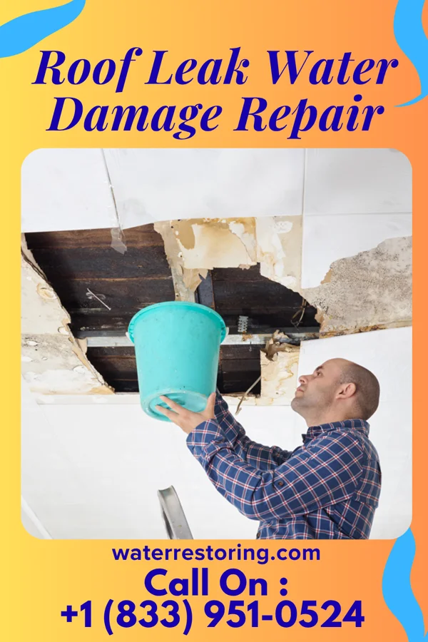 Roof Leak Water Damage Repair in South Monrovia Island, CA